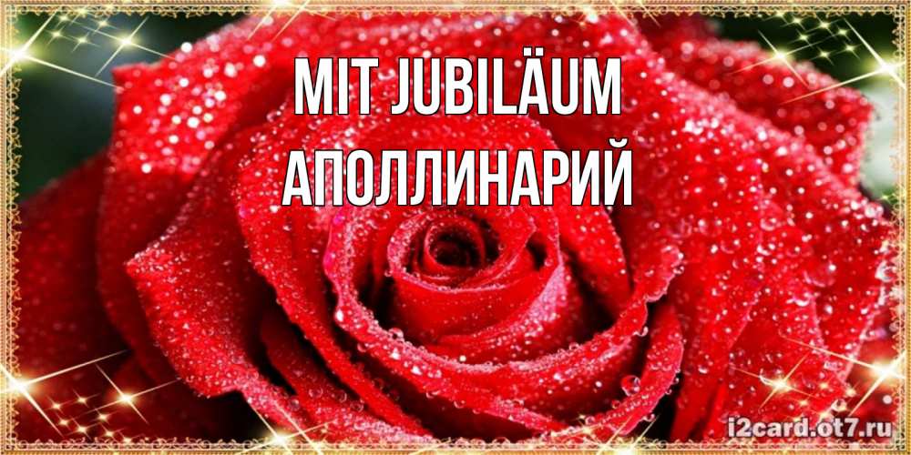 Открытка на каждый день с именем, Аполлинарий Mit Jubiläum роса и роза. открытка с красивой розой Прикольная открытка с пожеланием онлайн скачать бесплатно 