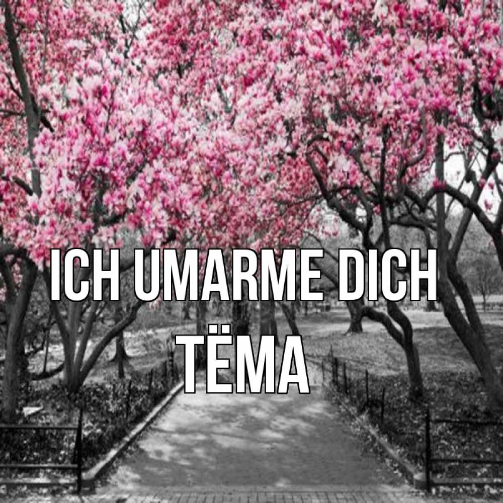 Открытка на каждый день с именем, Тёма Ich umarme dich обработанное фото Прикольная открытка с пожеланием онлайн скачать бесплатно 