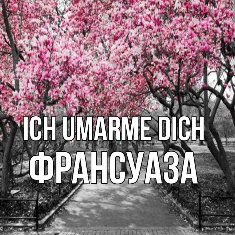Открытка на каждый день с именем, Франсуаза Ich umarme dich обработанное фото Прикольная открытка с пожеланием онлайн скачать бесплатно 