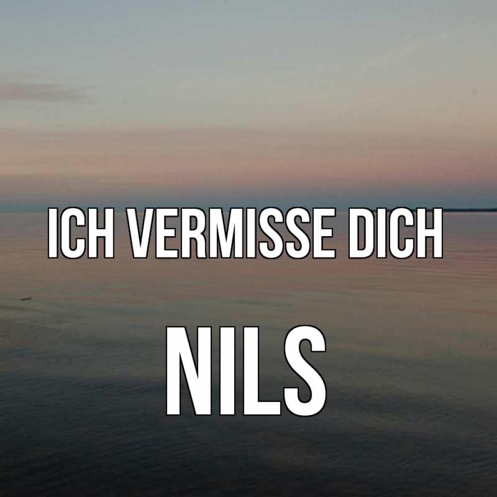 Открытка на каждый день с именем, Nils Ich vermisse dich пусто Прикольная открытка с пожеланием онлайн скачать бесплатно 