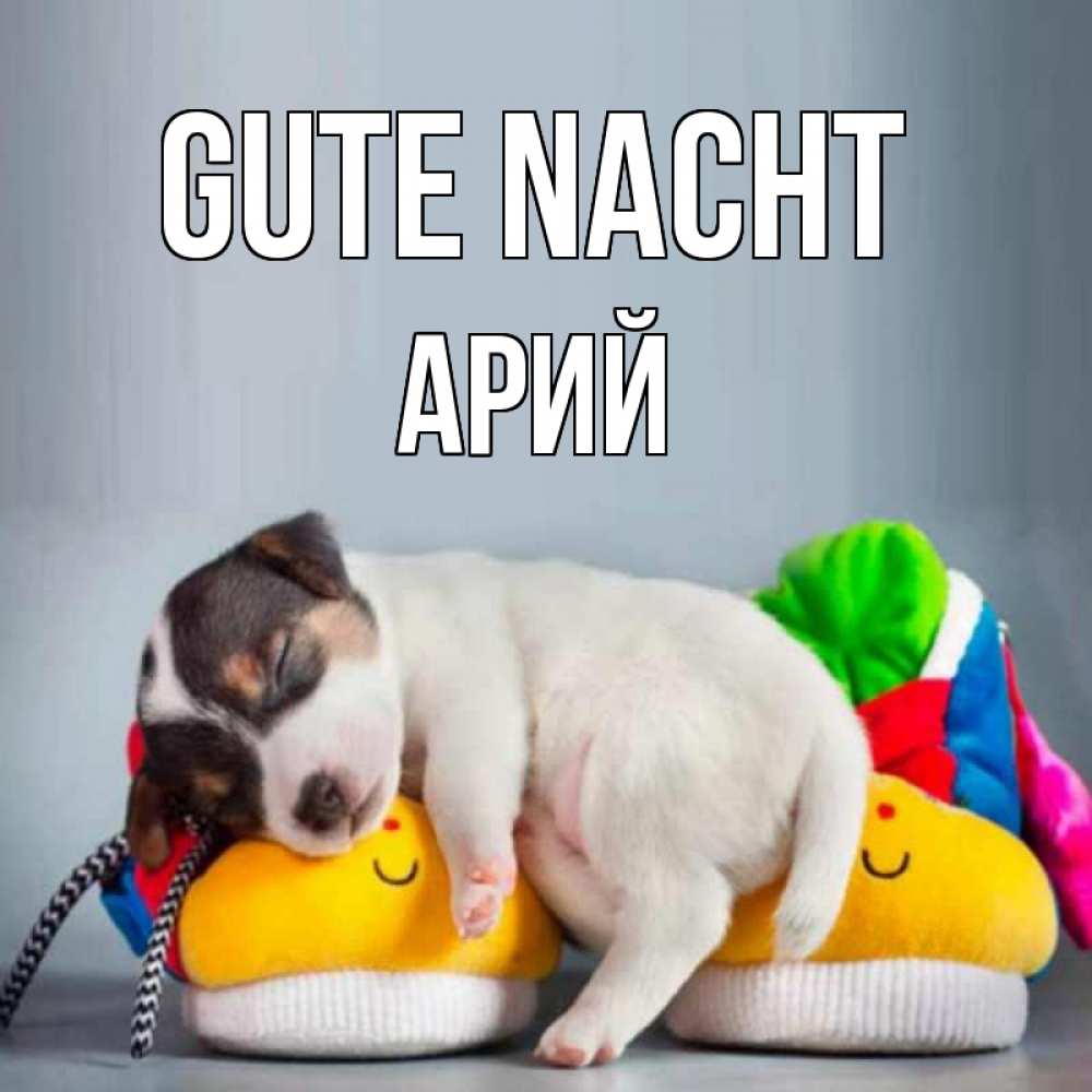 Открытка на каждый день с именем, Арий Gute Nacht собачка Прикольная открытка с пожеланием онлайн скачать бесплатно 