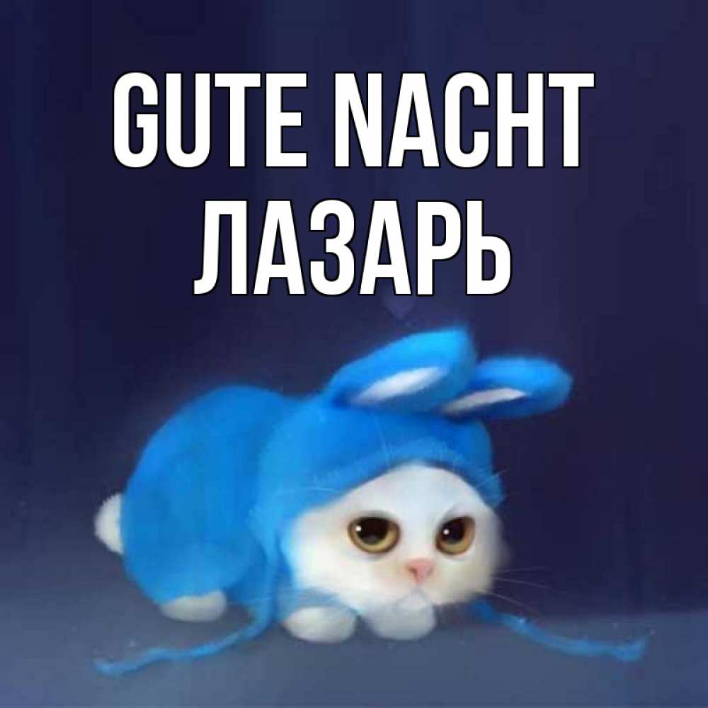 Открытка на каждый день с именем, Лазарь Gute Nacht кот в голубом костюме кролика с ушками Прикольная открытка с пожеланием онлайн скачать бесплатно 
