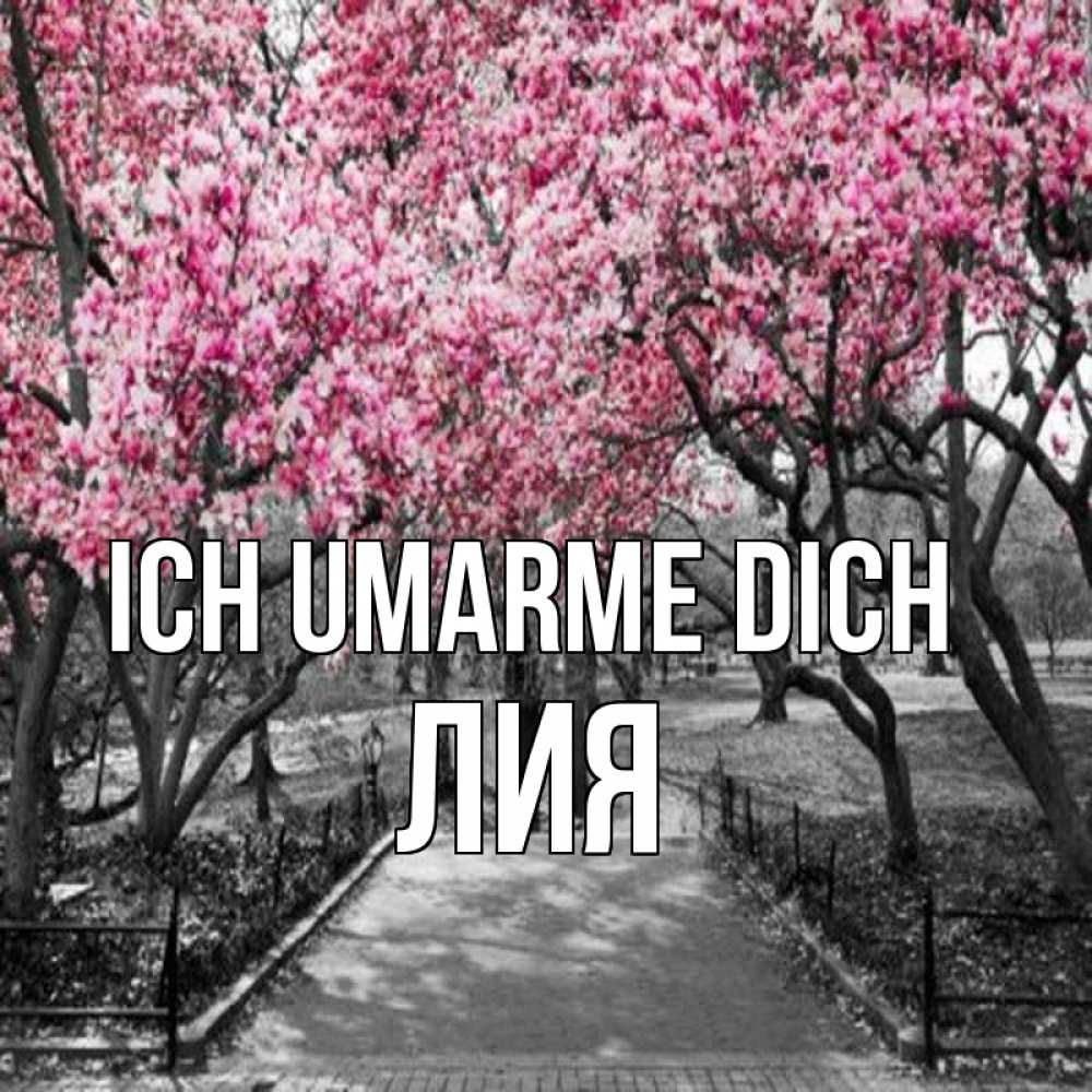 Открытка на каждый день с именем, Лия Ich umarme dich обработанное фото Прикольная открытка с пожеланием онлайн скачать бесплатно 