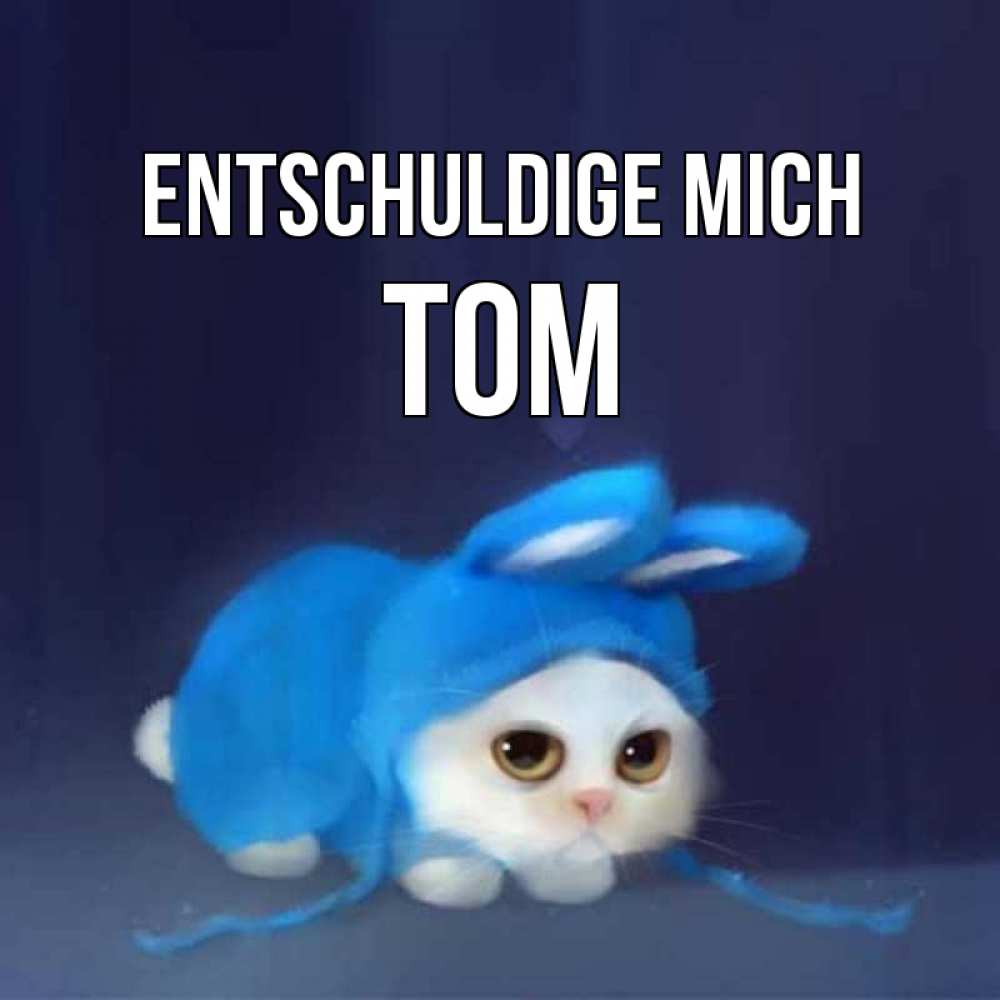 Открытка на каждый день с именем, Tom Entschuldige mich невинный котозай просит прощения Прикольная открытка с пожеланием онлайн скачать бесплатно 