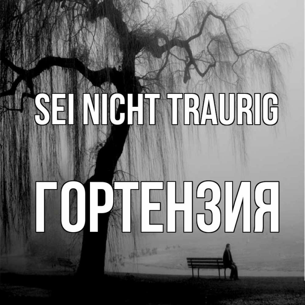 Открытка на каждый день с именем, Гортензия Sei nicht traurig висящие ветки дерева и лавочка под деревом Прикольная открытка с пожеланием онлайн скачать бесплатно 