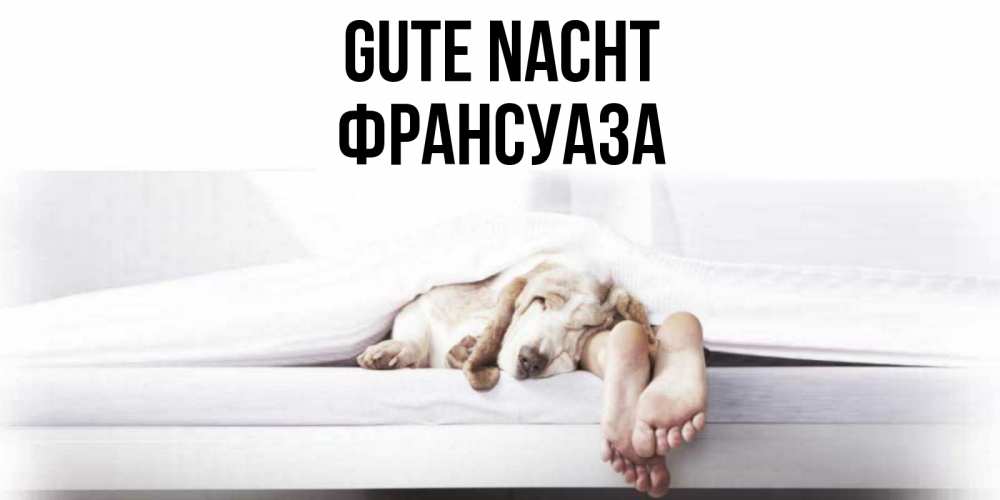 Открытка на каждый день с именем, Франсуаза Gute Nacht кровать с собакой пожелание сладких снов и спокойной ночи Прикольная открытка с пожеланием онлайн скачать бесплатно 
