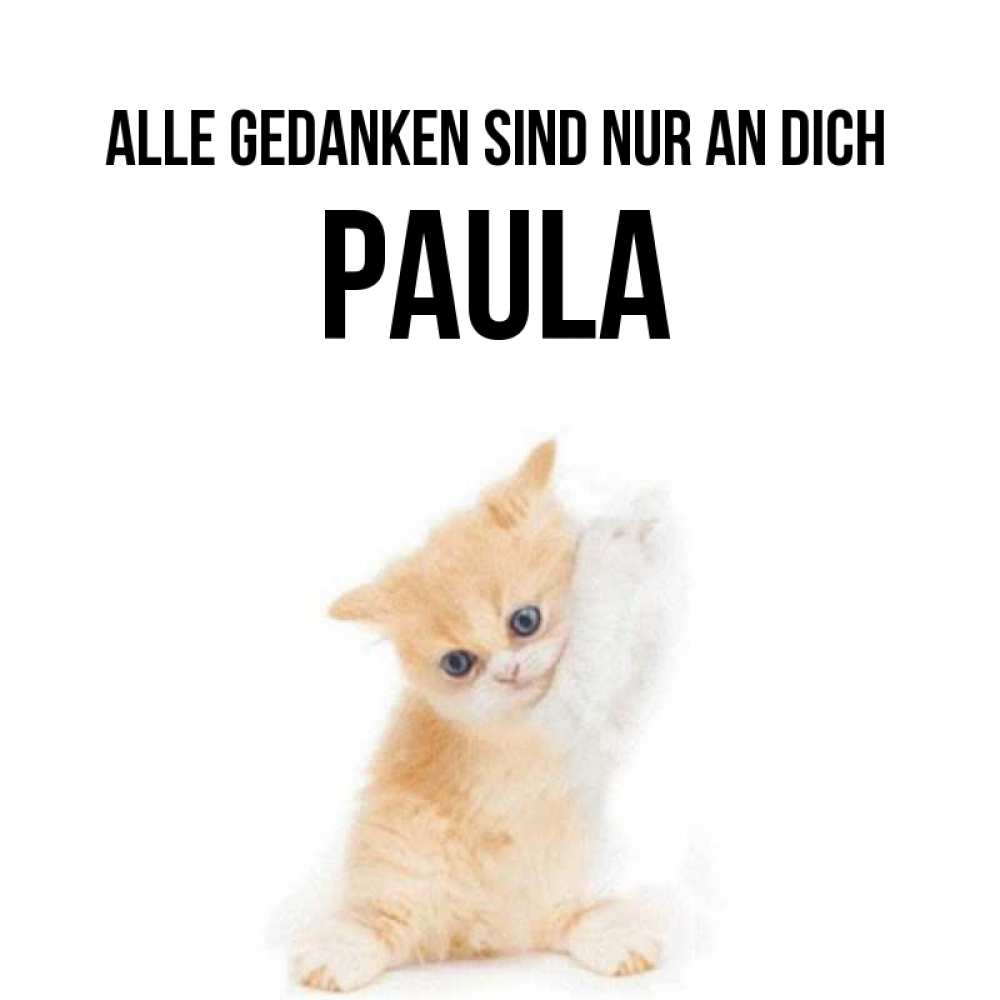 Открытка на каждый день с именем, Paula Alle Gedanken sind nur an dich зверушки и милота Прикольная открытка с пожеланием онлайн скачать бесплатно 