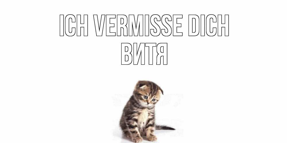 Открытка на каждый день с именем, Витя Ich vermisse dich кот Прикольная открытка с пожеланием онлайн скачать бесплатно 