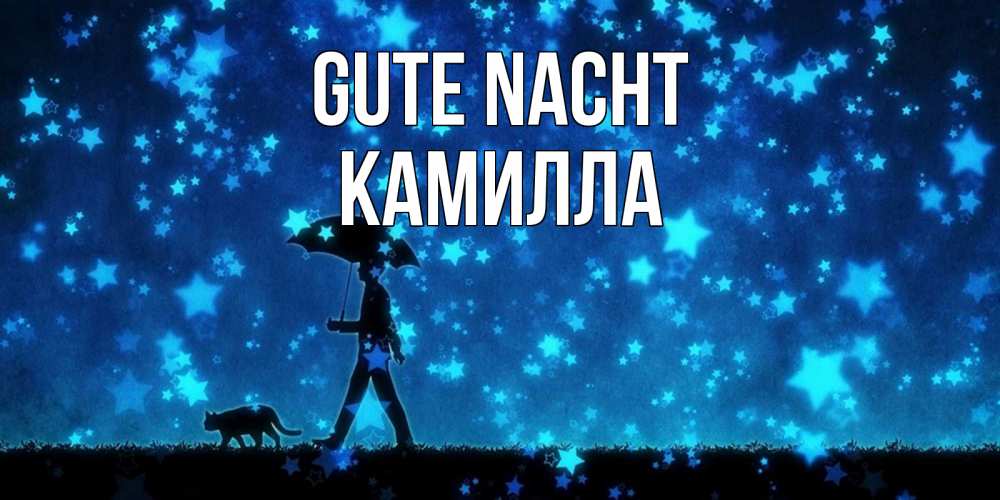 Открытка на каждый день с именем, Камилла Gute Nacht ночные прогулки с котом под звездами Прикольная открытка с пожеланием онлайн скачать бесплатно 
