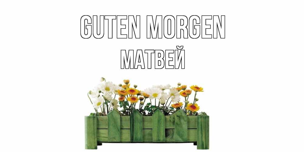 Открытка на каждый день с именем, Матвей Guten Morgen цветы Прикольная открытка с пожеланием онлайн скачать бесплатно 
