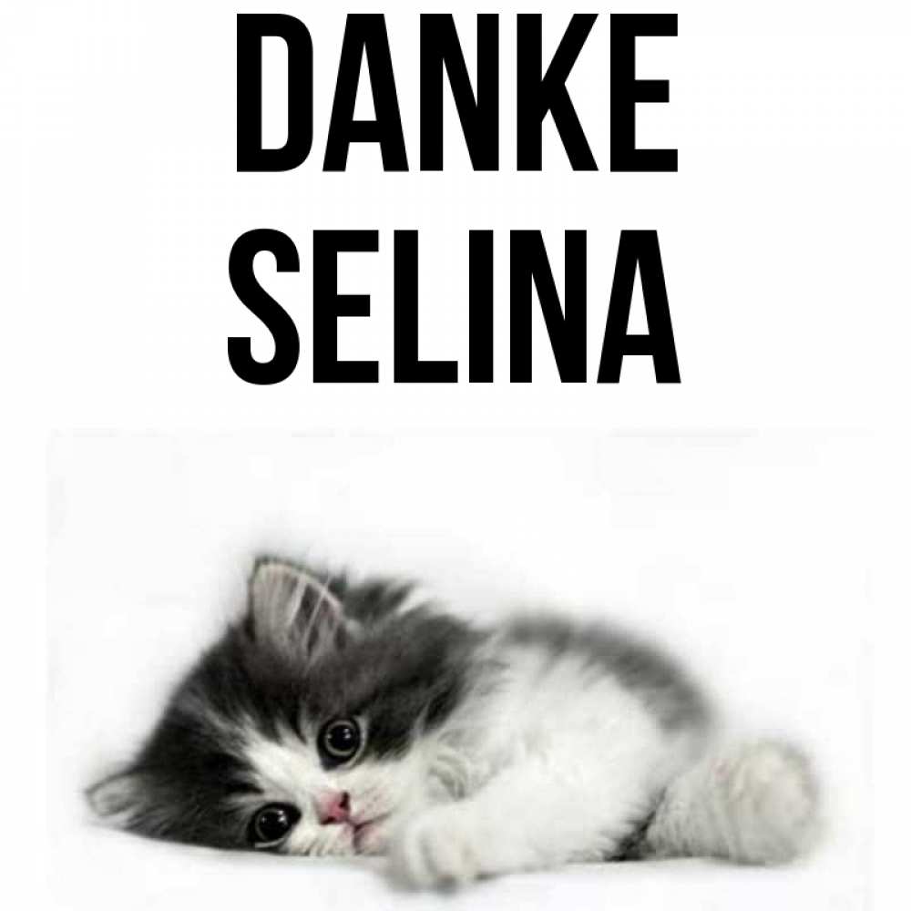 Открытка на каждый день с именем, Selina Danke черный и белый кот Прикольная открытка с пожеланием онлайн скачать бесплатно 