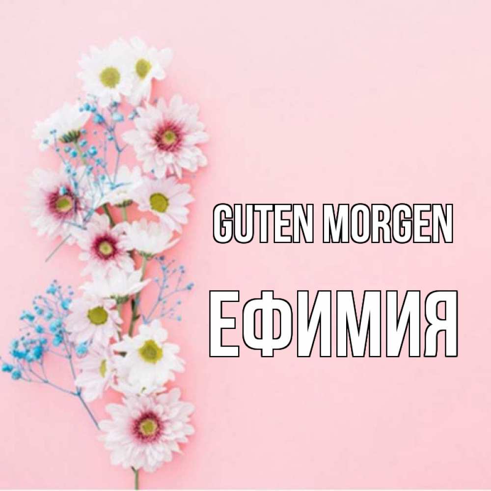 Открытка на каждый день с именем, Ефимия Guten Morgen цветы с подписью Прикольная открытка с пожеланием онлайн скачать бесплатно 