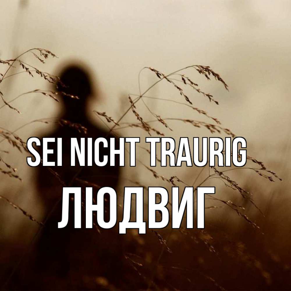 Открытка на каждый день с именем, Людвиг Sei nicht traurig грусть Прикольная открытка с пожеланием онлайн скачать бесплатно 