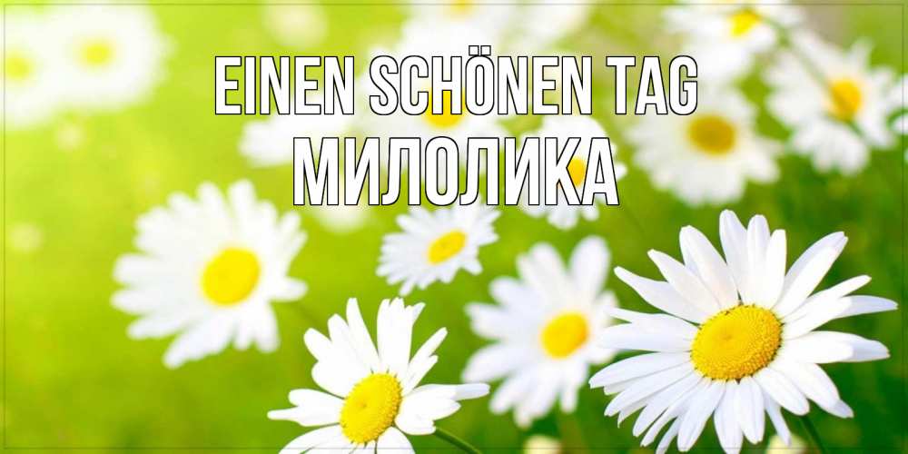 Открытка на каждый день с именем, Милолика Einen schönen Tag открытка с ромашками на зеленом фоне Прикольная открытка с пожеланием онлайн скачать бесплатно 