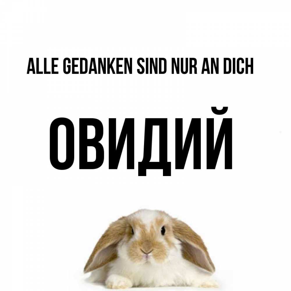 Открытка на каждый день с именем, Овидий Alle Gedanken sind nur an dich подписать своими руками онлайн Прикольная открытка с пожеланием онлайн скачать бесплатно 