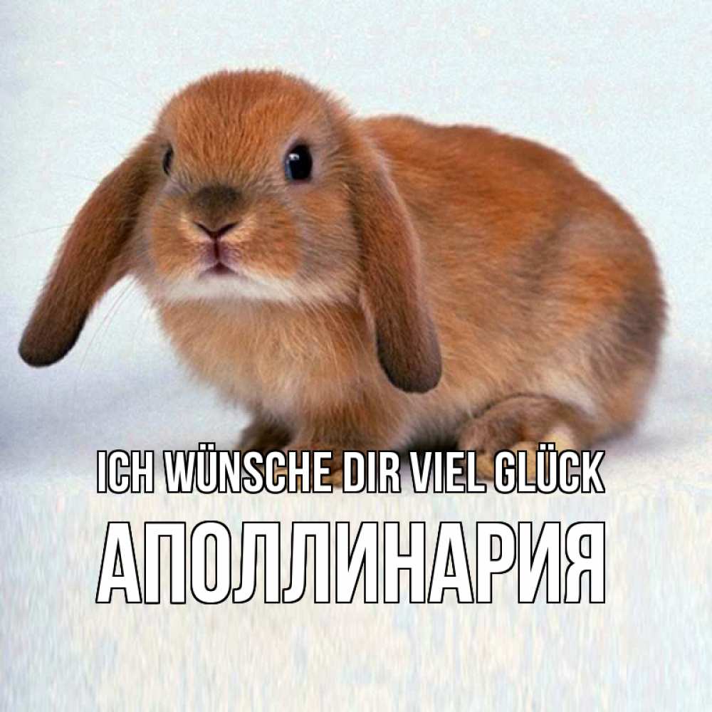 Открытка на каждый день с именем, Аполлинария Ich wünsche dir viel Glück вставить текст в открытку по выбору Прикольная открытка с пожеланием онлайн скачать бесплатно 