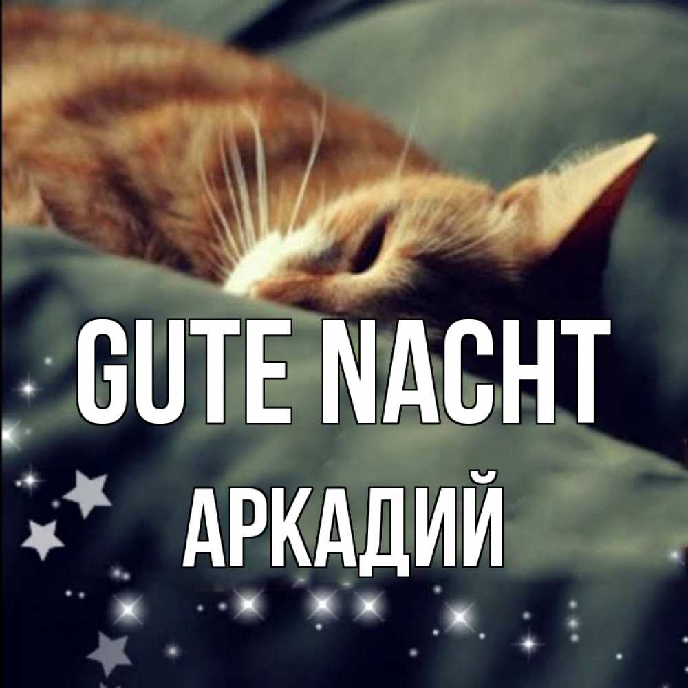 Открытка на каждый день с именем, Аркадий Gute Nacht кроватка Прикольная открытка с пожеланием онлайн скачать бесплатно 