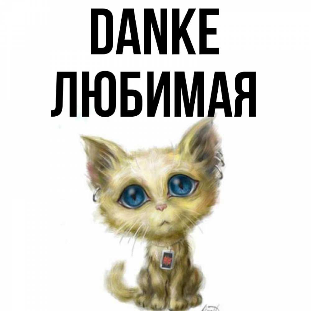 Открытка на каждый день с именем, Любимая Danke рисованный кот благодарит вас Прикольная открытка с пожеланием онлайн скачать бесплатно 