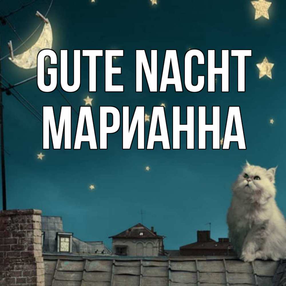Открытка на каждый день с именем, Марианна Gute Nacht белый кот сидит на крыше Прикольная открытка с пожеланием онлайн скачать бесплатно 