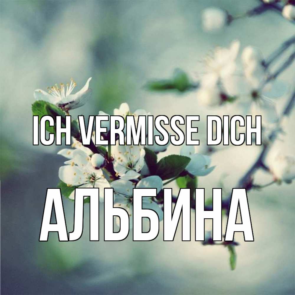 Открытка на каждый день с именем, Альбина Ich vermisse dich весна Прикольная открытка с пожеланием онлайн скачать бесплатно 