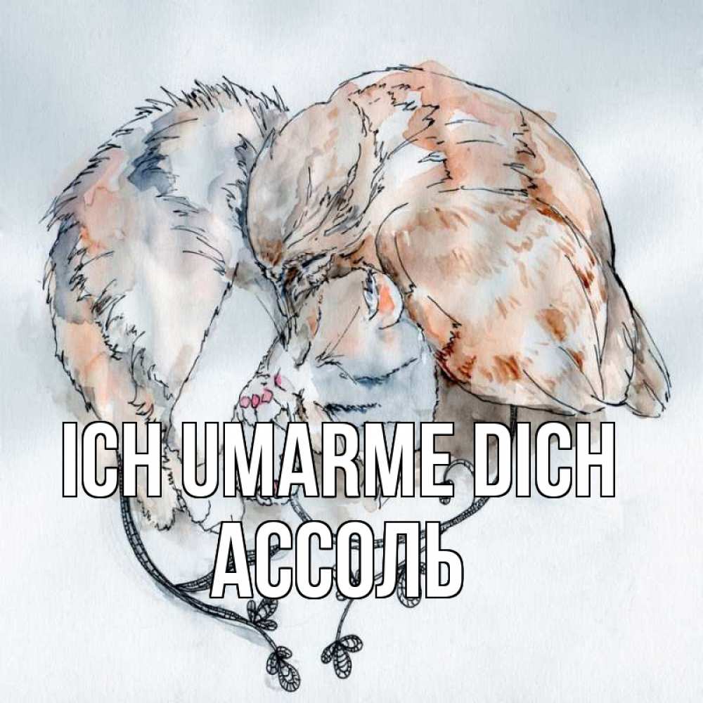Открытка на каждый день с именем, Ассоль Ich umarme dich можно быть вместе даже когда очень разные Прикольная открытка с пожеланием онлайн скачать бесплатно 