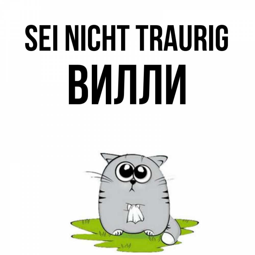 Открытка на каждый день с именем, Вилли Sei nicht traurig грустный котяра Прикольная открытка с пожеланием онлайн скачать бесплатно 