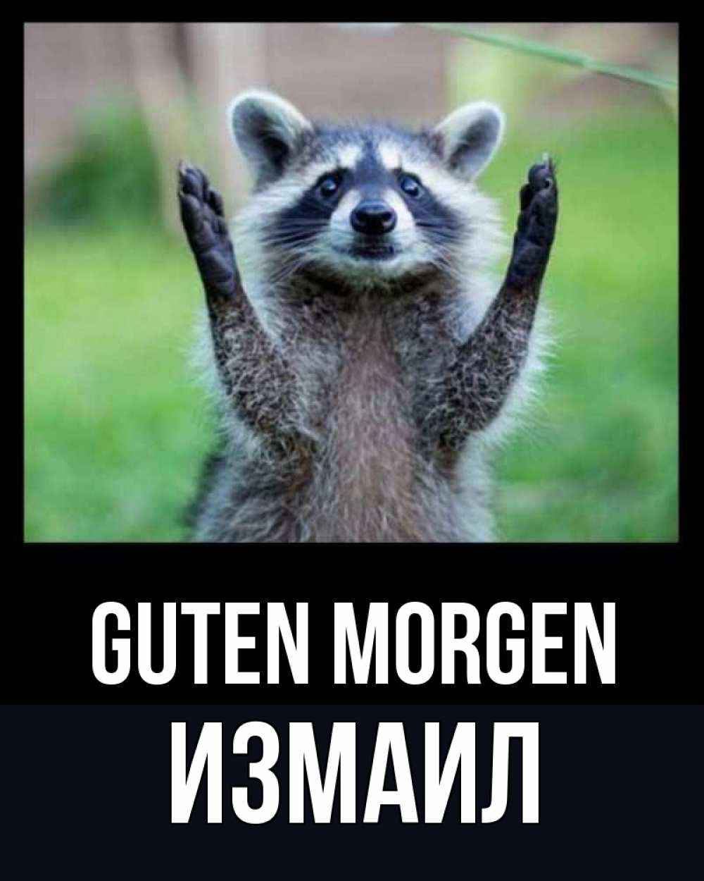 Открытка на каждый день с именем, Измаил Guten Morgen хорошее настроение утречком Прикольная открытка с пожеланием онлайн скачать бесплатно 