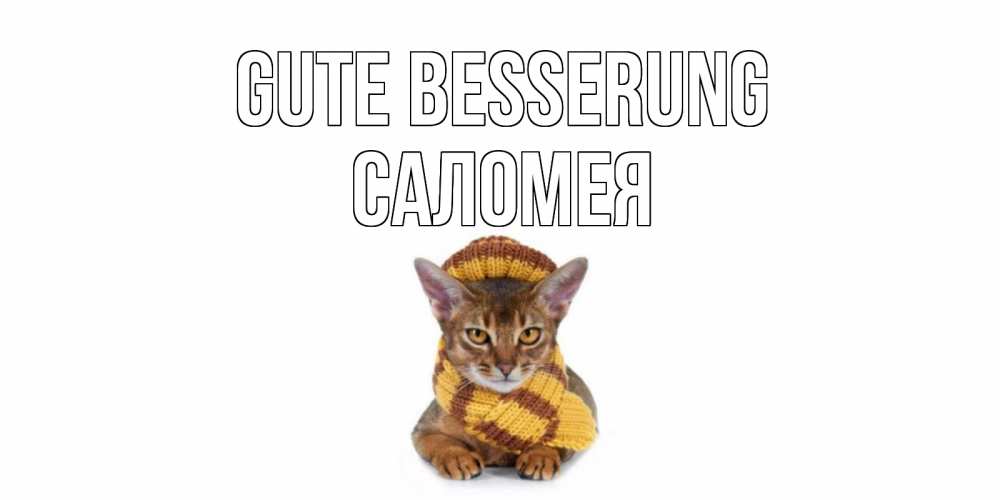 Открытка на каждый день с именем, Саломея Gute Besserung родные не болейте Прикольная открытка с пожеланием онлайн скачать бесплатно 