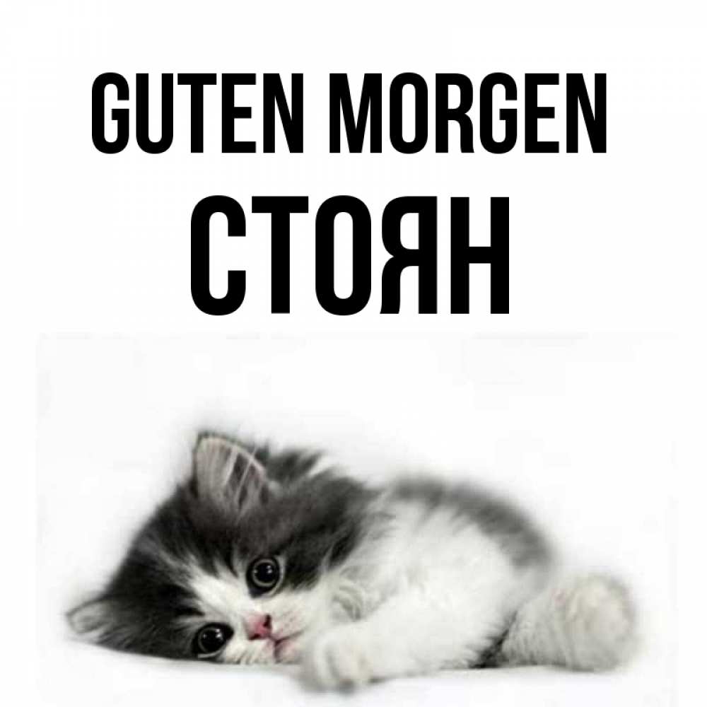 Открытка на каждый день с именем, Стоян Guten Morgen кот лапки Прикольная открытка с пожеланием онлайн скачать бесплатно 