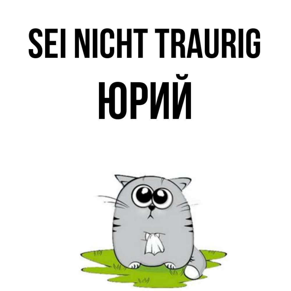 Открытка на каждый день с именем, Юрий Sei nicht traurig грустный котяра Прикольная открытка с пожеланием онлайн скачать бесплатно 