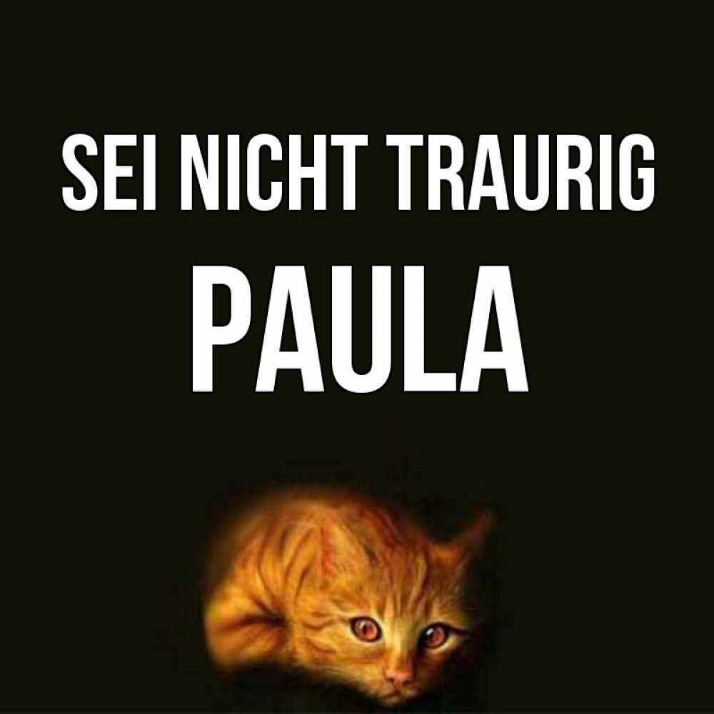 Открытка на каждый день с именем, Paula Sei nicht traurig лежащий кот в темноте Прикольная открытка с пожеланием онлайн скачать бесплатно 