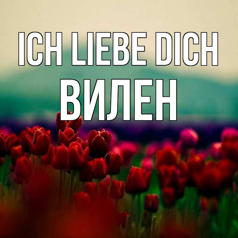 Открытка на каждый день с именем, Вилен Ich liebe dich тюльпаны 4 Прикольная открытка с пожеланием онлайн скачать бесплатно 