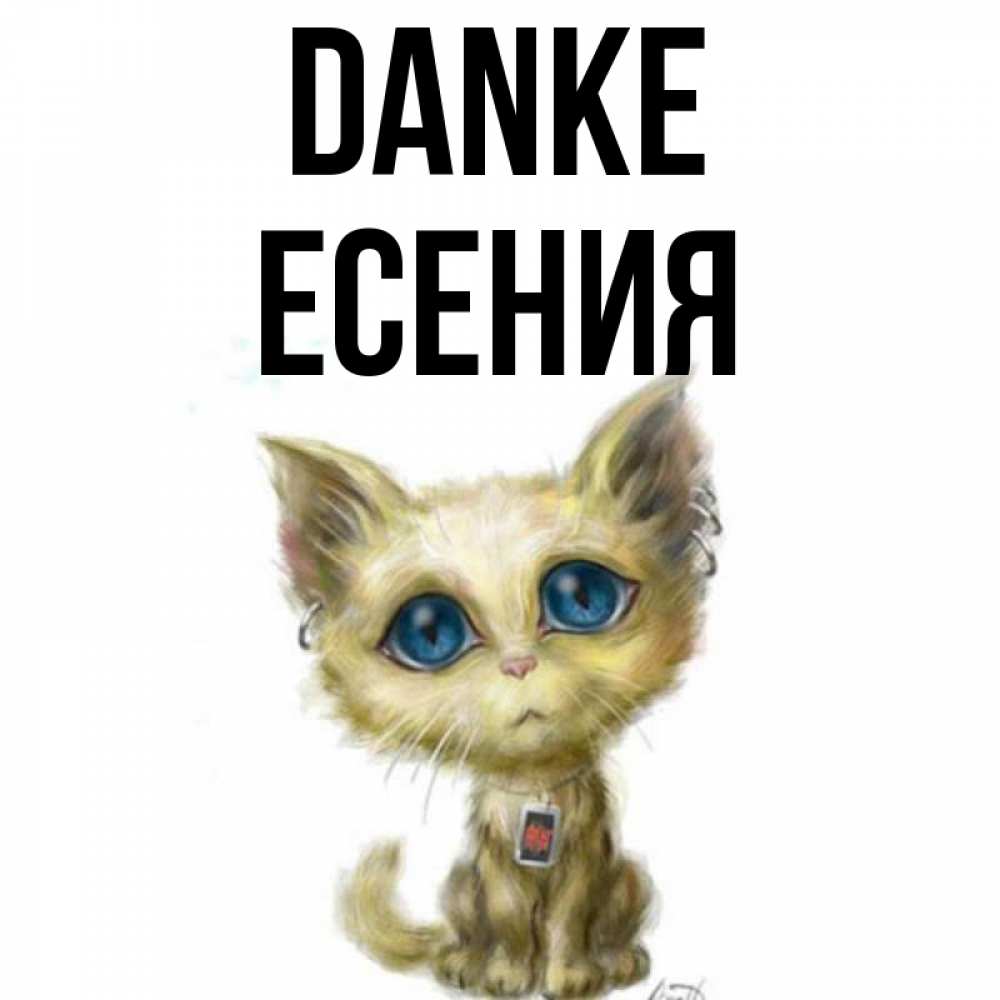 Открытка на каждый день с именем, Есения Danke рисованный кот благодарит вас Прикольная открытка с пожеланием онлайн скачать бесплатно 