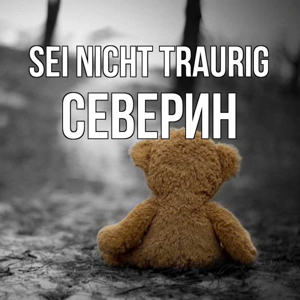 Открытка на каждый день с именем, Северин Sei nicht traurig медведь со спин Прикольная открытка с пожеланием онлайн скачать бесплатно 
