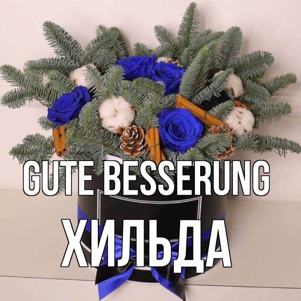 Открытка на каждый день с именем, Хильда Gute Besserung короче кто то загрузил эти шишки Прикольная открытка с пожеланием онлайн скачать бесплатно 