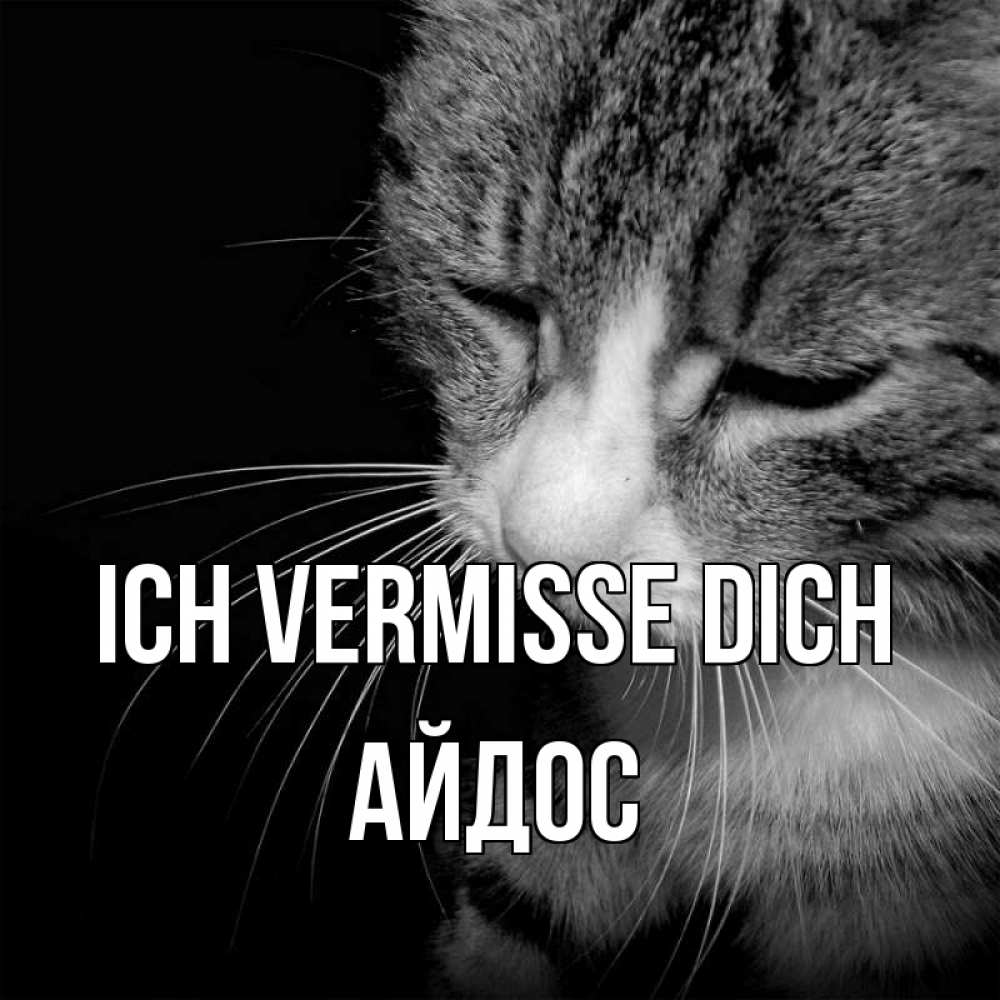Открытка на каждый день с именем, Айдос Ich vermisse dich мне скучно Прикольная открытка с пожеланием онлайн скачать бесплатно 