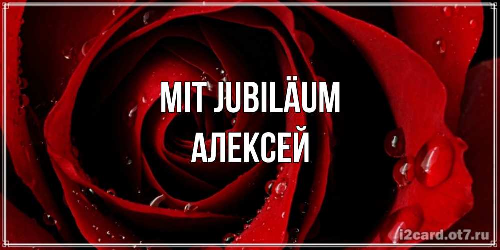 Открытка на каждый день с именем, Алексей Mit Jubiläum крупная бордовая роза Прикольная открытка с пожеланием онлайн скачать бесплатно 