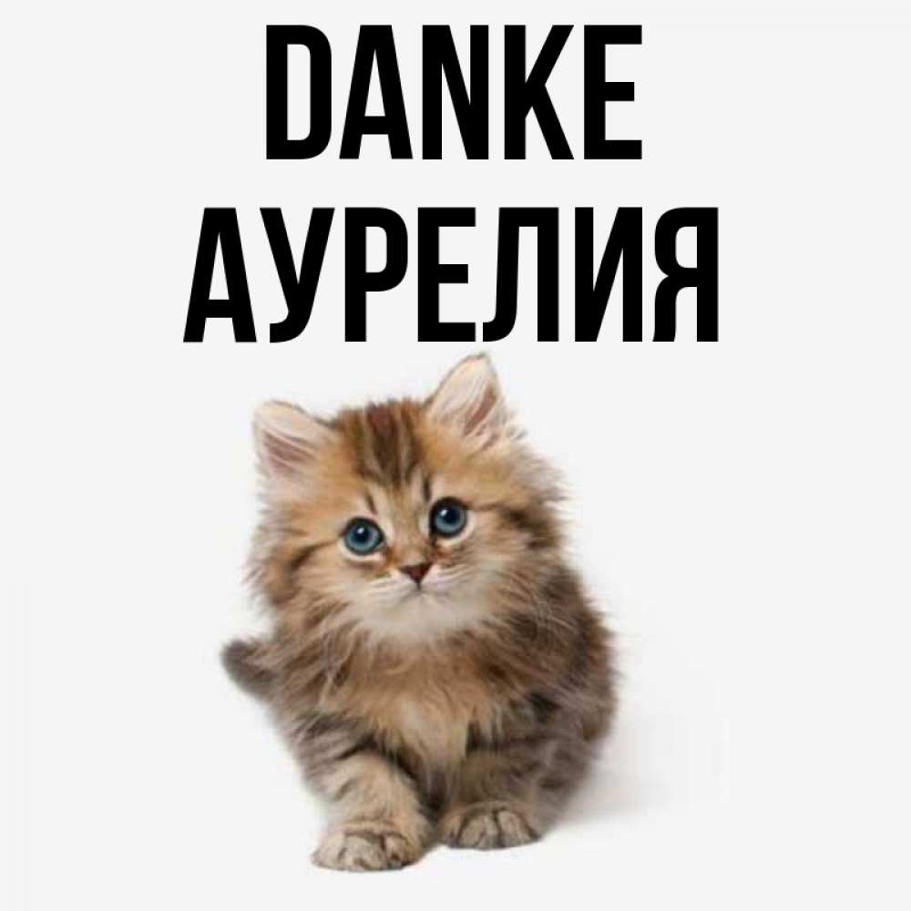 Открытка на каждый день с именем, Аурелия Danke пушистый котик Прикольная открытка с пожеланием онлайн скачать бесплатно 