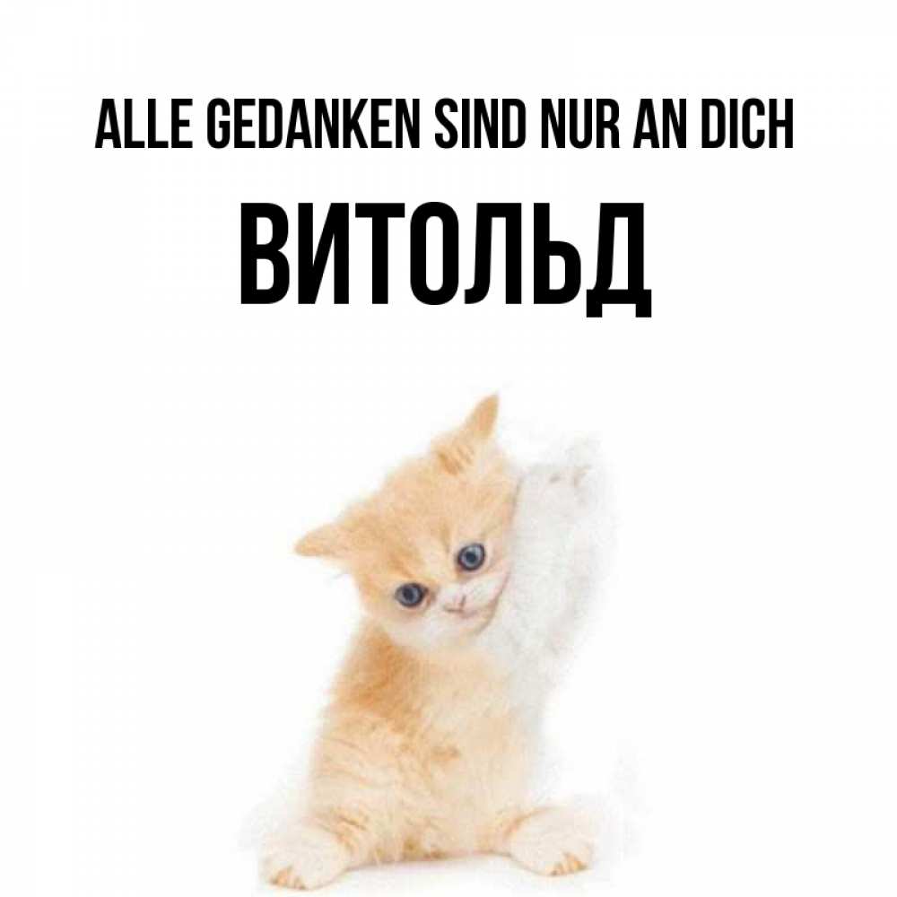 Открытка на каждый день с именем, Витольд Alle Gedanken sind nur an dich зверушки и милота Прикольная открытка с пожеланием онлайн скачать бесплатно 