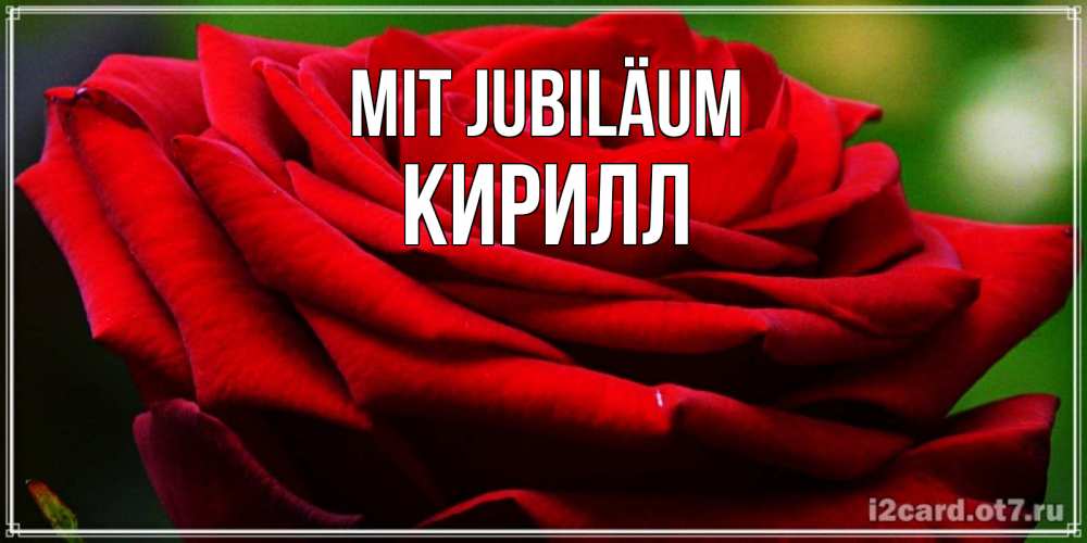 Открытка на каждый день с именем, Кирилл Mit Jubiläum розочка очень красивая Прикольная открытка с пожеланием онлайн скачать бесплатно 