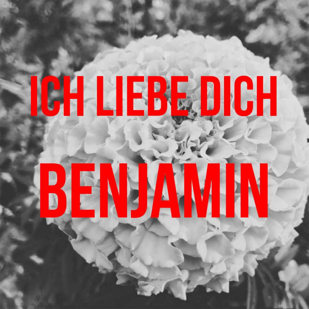 Открытка на каждый день с именем, Benjamin Ich liebe dich подпись Прикольная открытка с пожеланием онлайн скачать бесплатно 