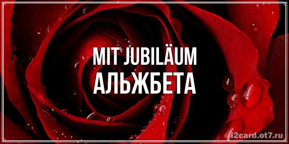 Открытка на каждый день с именем, Альжбета Mit Jubiläum крупная бордовая роза Прикольная открытка с пожеланием онлайн скачать бесплатно 