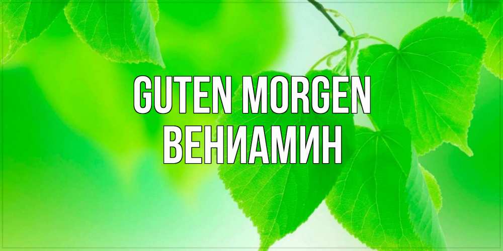 Открытка на каждый день с именем, Вениамин Guten Morgen доброе утро с березовыми листьями Прикольная открытка с пожеланием онлайн скачать бесплатно 