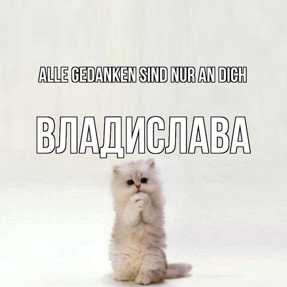 Открытка на каждый день с именем, Владислава Alle Gedanken sind nur an dich кот стоит на задних лапах Прикольная открытка с пожеланием онлайн скачать бесплатно 