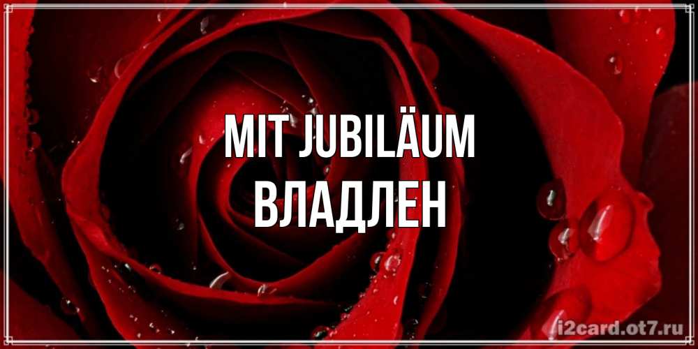 Открытка на каждый день с именем, Владлен Mit Jubiläum крупная бордовая роза Прикольная открытка с пожеланием онлайн скачать бесплатно 