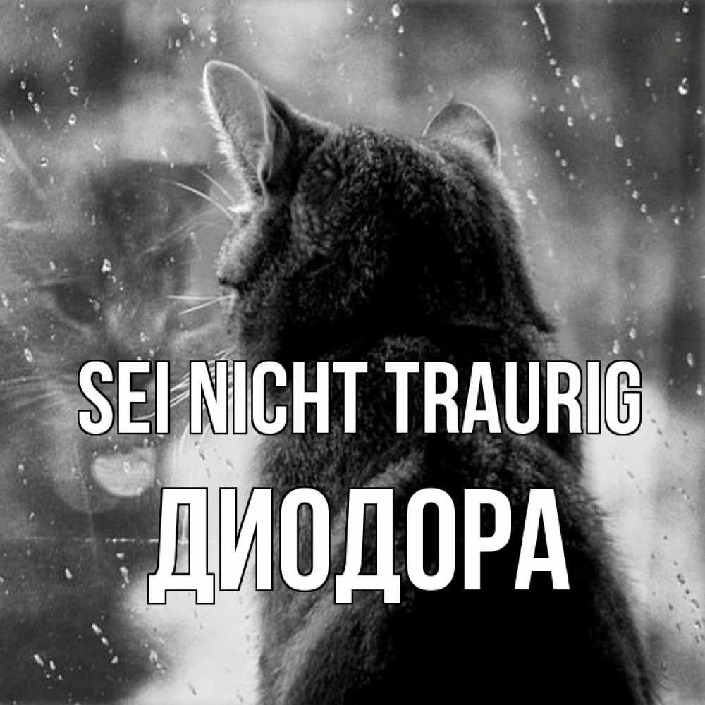 Открытка на каждый день с именем, Диодора Sei nicht traurig отражение кота 1 Прикольная открытка с пожеланием онлайн скачать бесплатно 