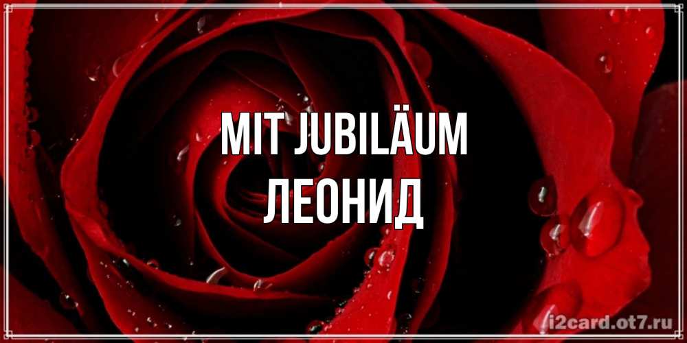 Открытка на каждый день с именем, Леонид Mit Jubiläum крупная бордовая роза Прикольная открытка с пожеланием онлайн скачать бесплатно 