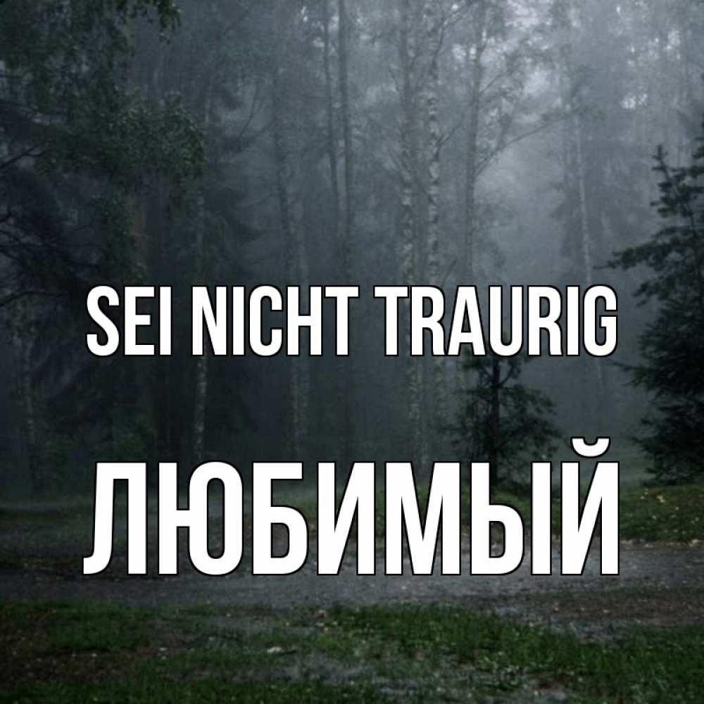 Открытка на каждый день с именем, Любимый Sei nicht traurig осень Прикольная открытка с пожеланием онлайн скачать бесплатно 