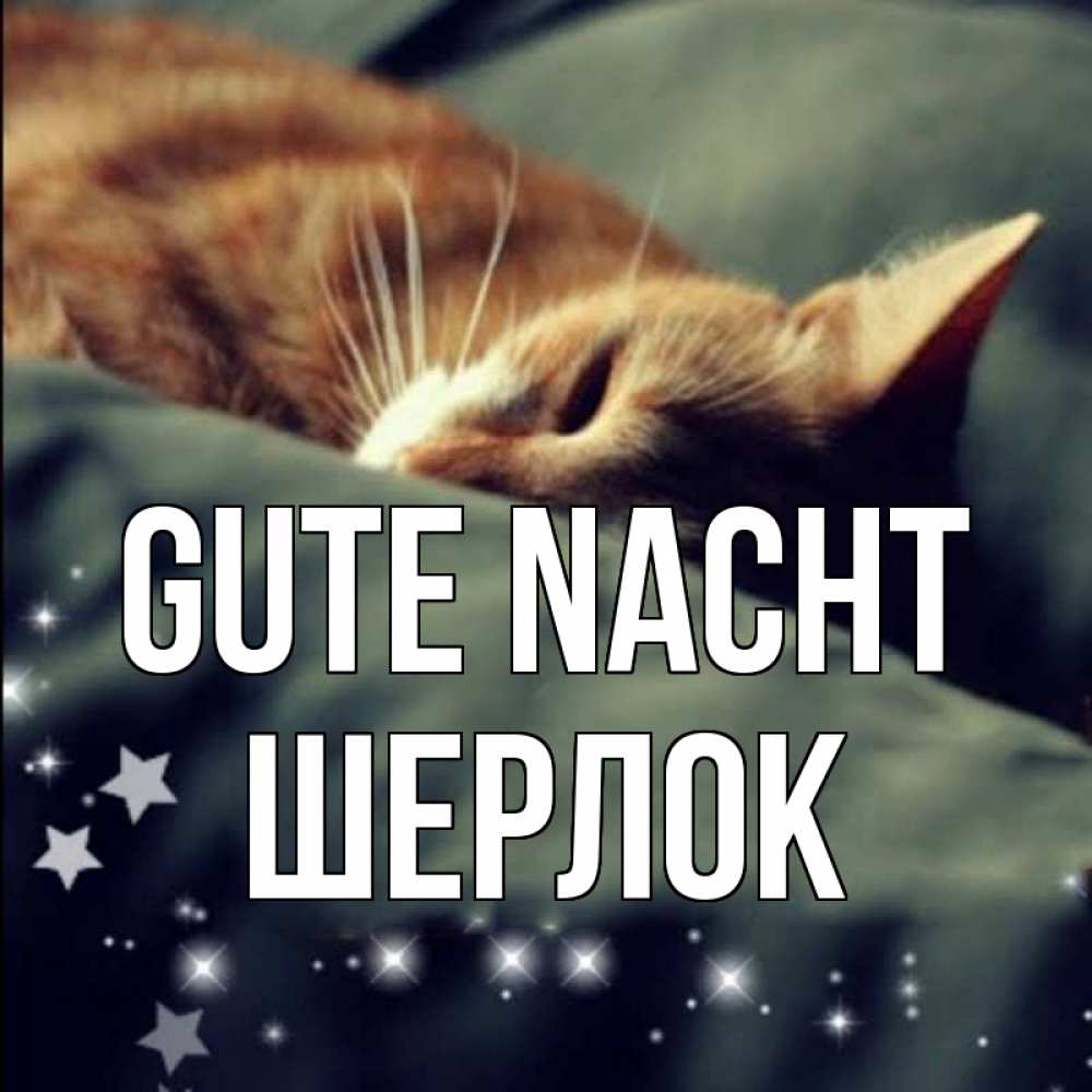 Открытка на каждый день с именем, Шерлок Gute Nacht кроватка Прикольная открытка с пожеланием онлайн скачать бесплатно 