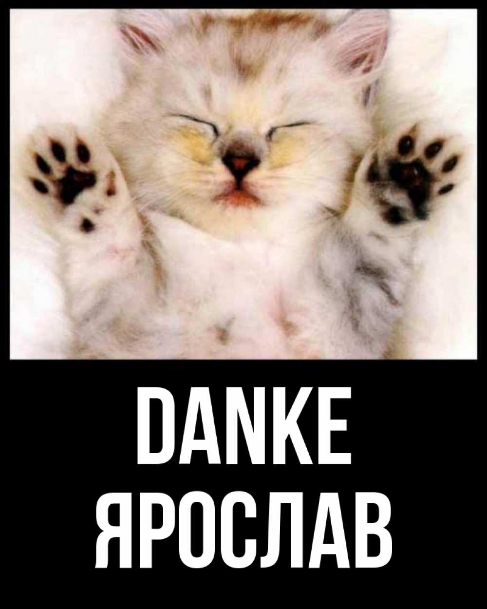 Открытка на каждый день с именем, Ярослав Danke маленький котенок Прикольная открытка с пожеланием онлайн скачать бесплатно 